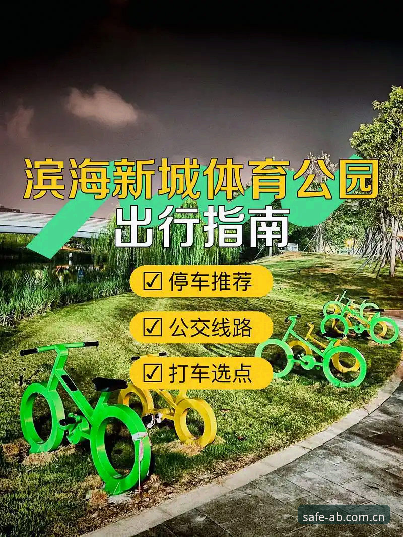 AB体育地址查询推荐 AB体育地址查询推荐完整指南:从新手到高手的全方位安全入口解析